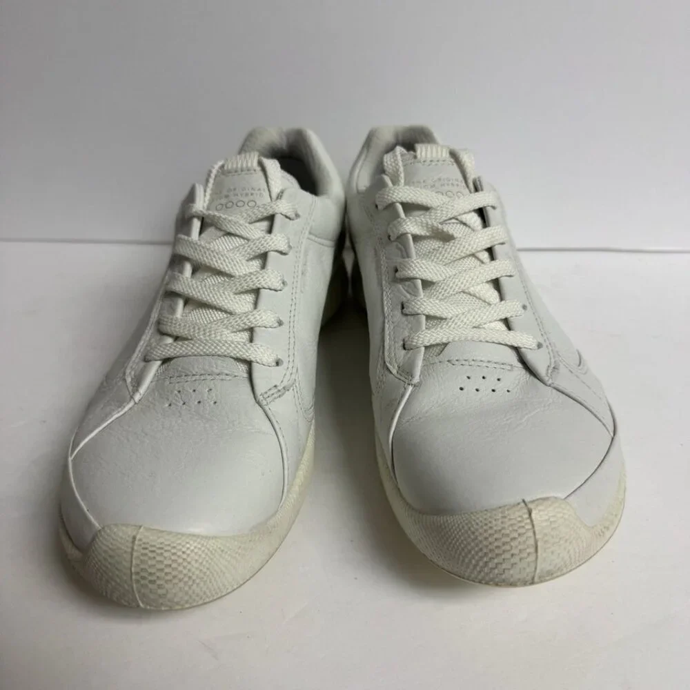 Ecco great minor